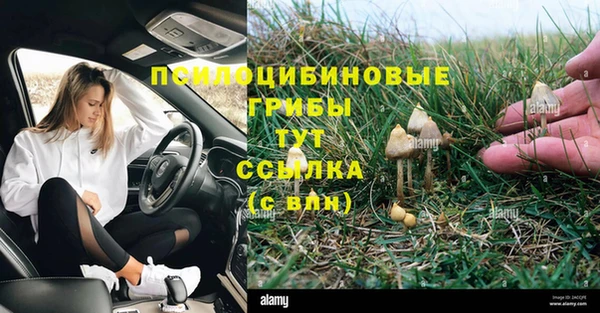 кокс Алзамай