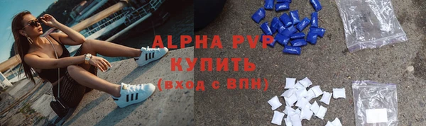 СК Абинск