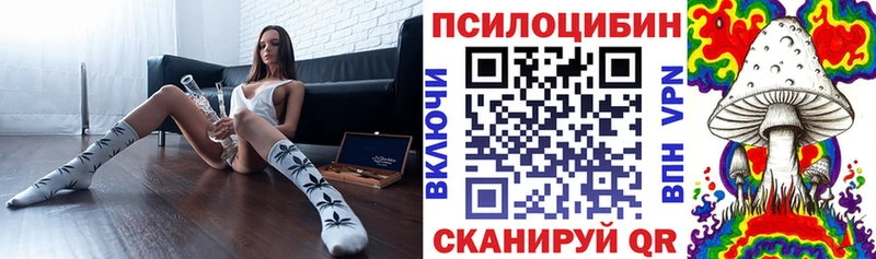 kraken зеркало  Тотьма  Галлюциногенные грибы Magic Shrooms  наркотики 